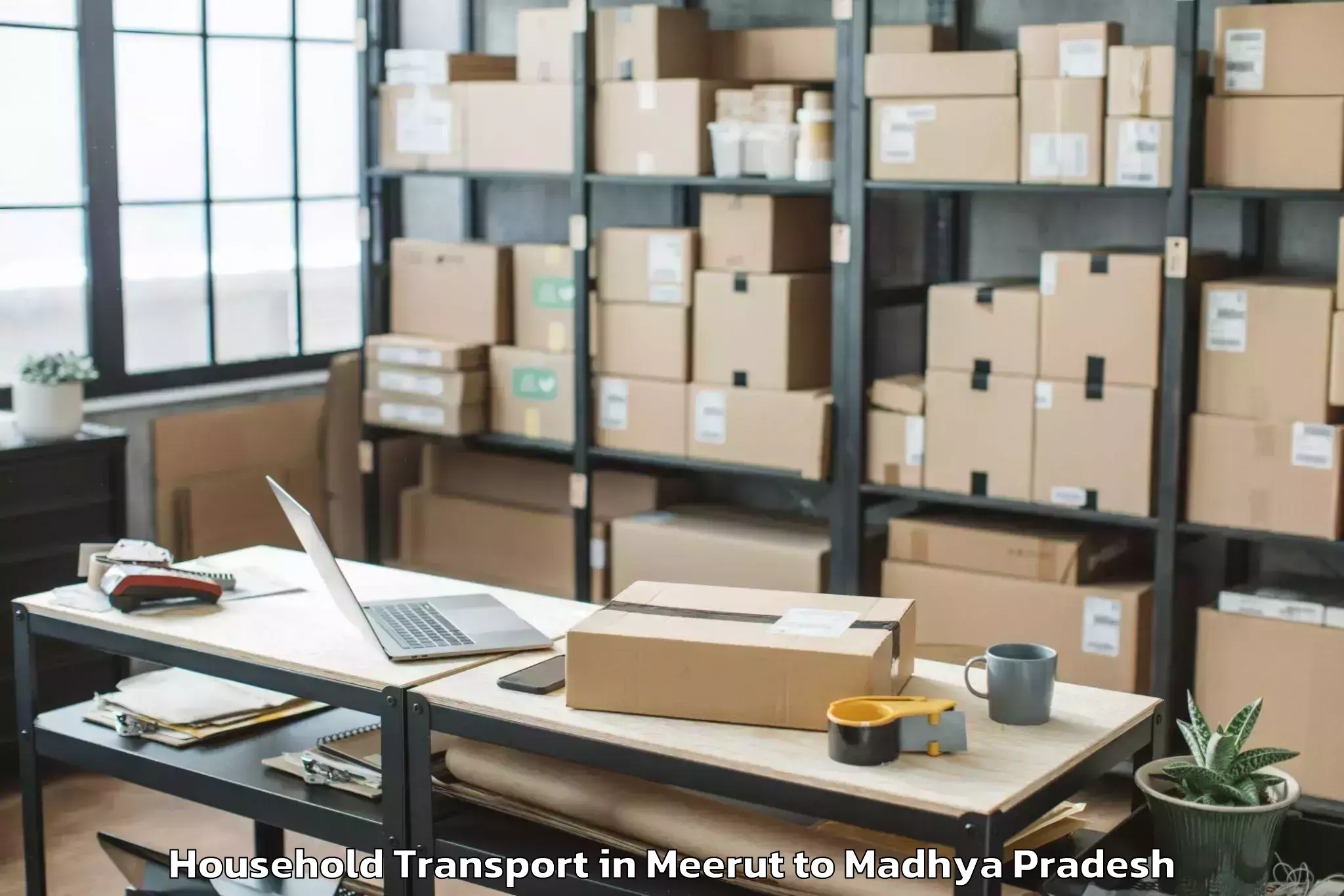 Top Meerut to Parasia Household Transport Available